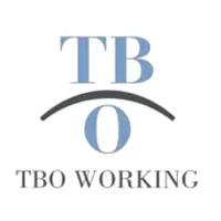 TBO WORKING SEGURIDAD EasyView icon
