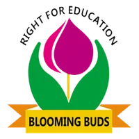 Blooming Buds icon