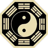 Acupuncture TCM Patterns icon