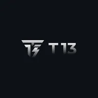 Команда Т13 icon
