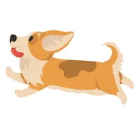 오늘의 댕댕이 icon