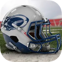 Dallas Football 2017-18 icon