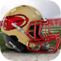 San Francisco Football 2017-18 icon