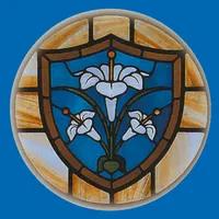 St Mary's Health icon