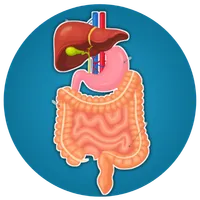 Biology Textbook (WASSCE) icon