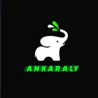 ANKARALY icon