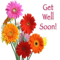 Get Well Soon: Greetings, GIF  icon