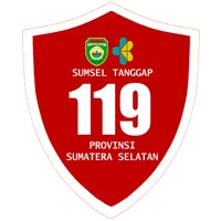 Sumsel Tanggap - Petugas icon