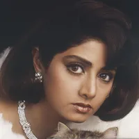 Sridevi -Movies ,Wallpapers icon
