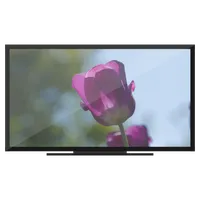 Spring Garden on Chromecast icon