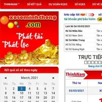 Thinhnam.net icon