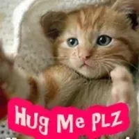 Hug Me Love Stickers icon