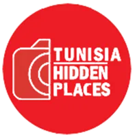 THP icon