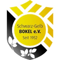 SV Schwarz-Gelb Bokel icon