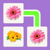 Tile Onet - Connect & Match icon