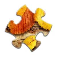 Autumn Jigsaw Puzzles icon