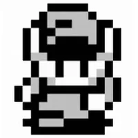 todotradus RASPBERRY icon