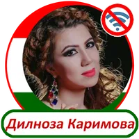 Дилноза Каримова -  песни icon