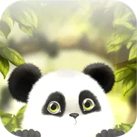 Panda Chub Live Wallpaper icon