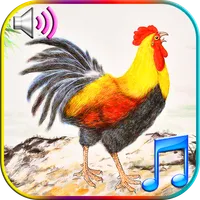 Funny Wake Up Ringtones icon