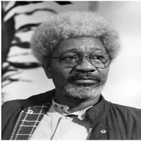 Top 7 of Wole Soyinka's Full N icon