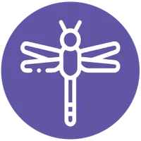 Top Insights icon