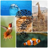 Animals Quiz - Think and Learn icon