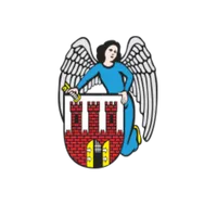 Toruń icon