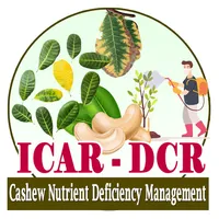 Cashew Nutrient Deficiency icon