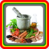 traditional herbal medicine icon