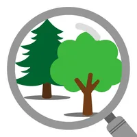 iSeaTree icon