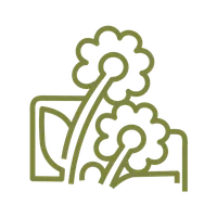 iKollege Campus Assistant icon