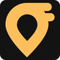 Drivester icon