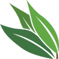 Mindset Journal icon