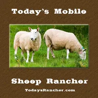 Today's Mobile Sheep Rancher icon