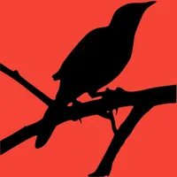 TKAM Review icon