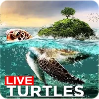 🐢 Sea Turtle Lock Screen Live icon