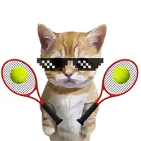 Cute Cat Meme Tennis icon