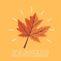 Kashmir News icon