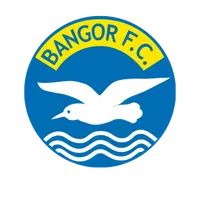 Bangor Football Club icon