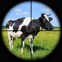 Jungle Cow Hunt : Cow Game icon