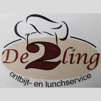 De 2ling Leeuwarden icon