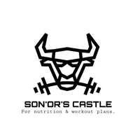 SonOrs Castle icon