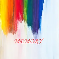 Memory icon