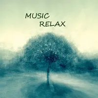 Music Relax icon