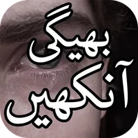 Bheegi Aankhen Shayari گیلی آن icon