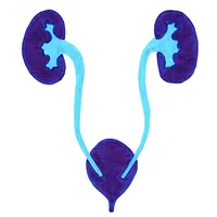 Urology Med icon