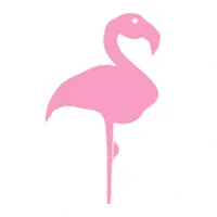 Splashfy icon
