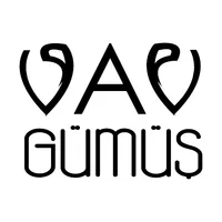 Vav Gümüş icon