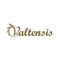 Valtensis icon